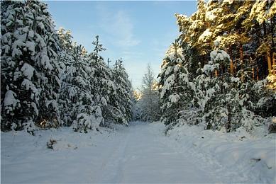 《黎明前20分钟》发布重大更新“祝福与诅咒” 新增祝福机制